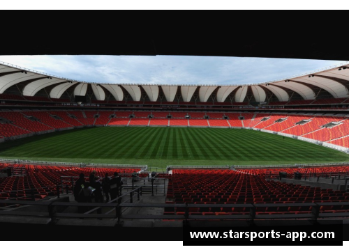 纳尔逊：球场璀璨之星